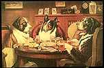 3 Dogs Playing Poker Tin Sign