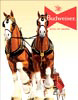 Budweiser Clydesdales Team Tin Sign