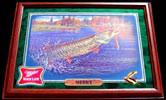 Miller High Life Fish Mirror Series Musky Wildlife Mirror